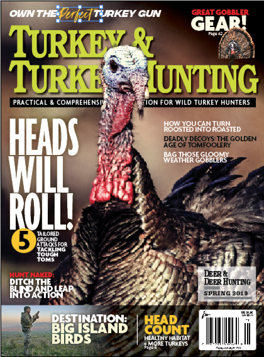 Turkey & Turkey Hunting — Find It on a Newsstand Near You