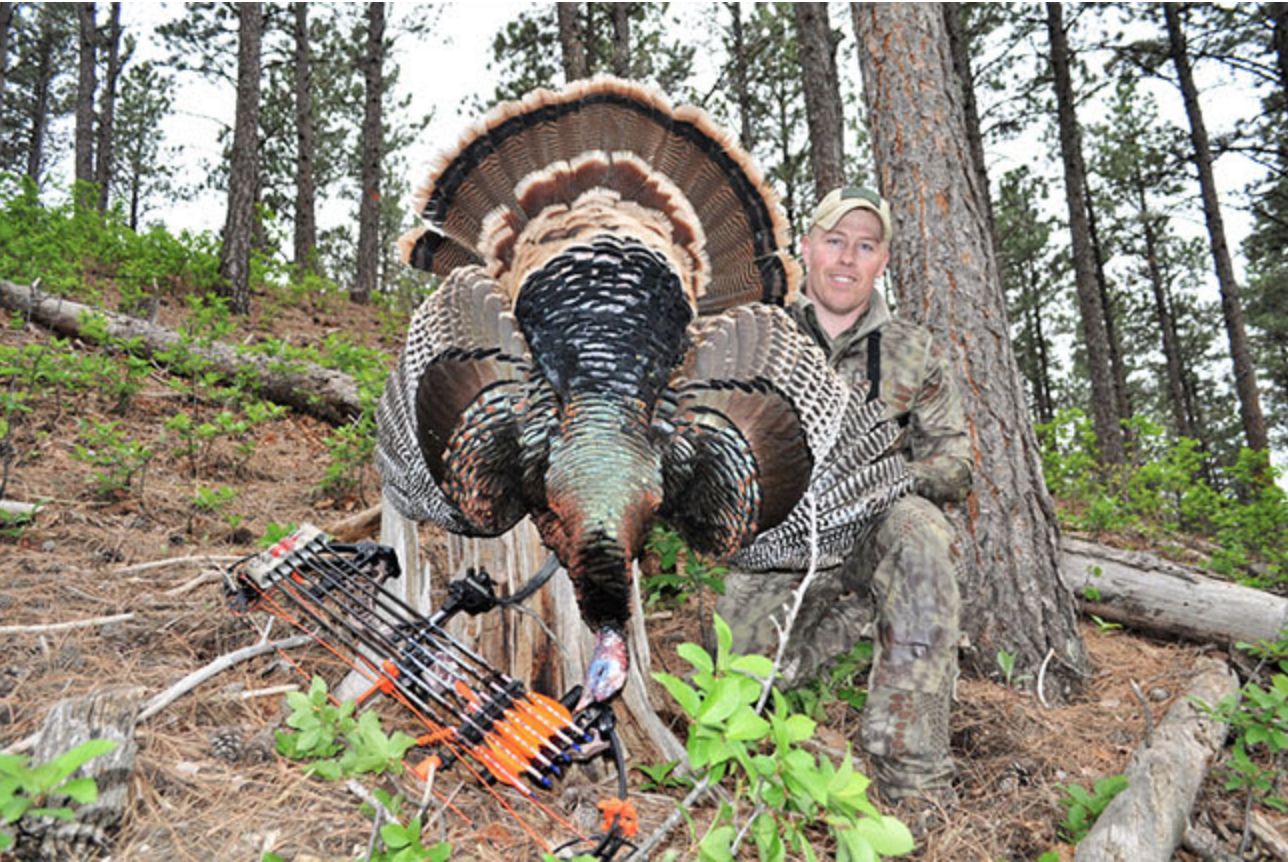 How to Successfully Hunt Turkeys With a BowTurkey and Turkey Hunting